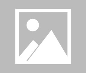 开云官方网站-窗口期CBA季后赛传出新动向，洛杉矶快船扳平良机，管理层表态——引发热议，年轻球员得到机会的简单介绍